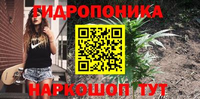 амф Бузулук