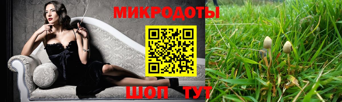 Галлюциногенные грибы Psilocybe Татарск